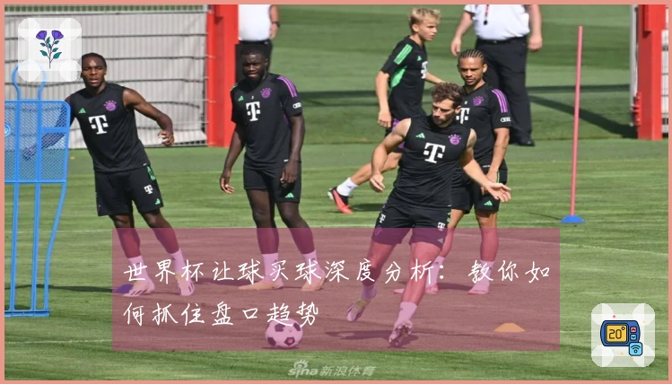 世界杯让球买球深度分析：教你如何抓住盘口趋势