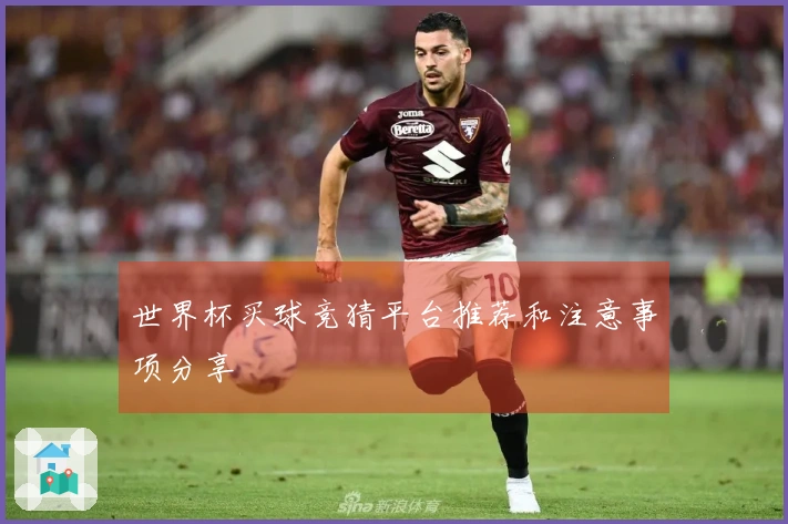世界杯买球竞猜平台推荐和注意事项分享