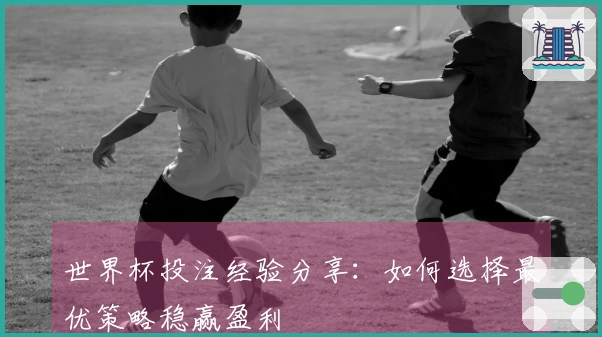 世界杯投注经验分享：如何选择最优策略稳赢盈利