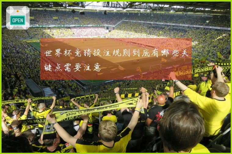 世界杯竞猜投注规则到底有哪些关键点需要注意