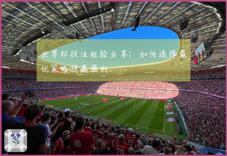 世界杯投注经验分享：如何选择最优策略稳赢盈利