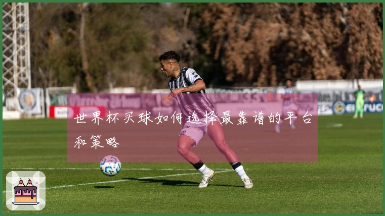 世界杯买球如何选择最靠谱的平台和策略