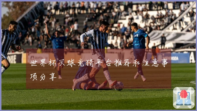 世界杯买球竞猜平台推荐和注意事项分享
