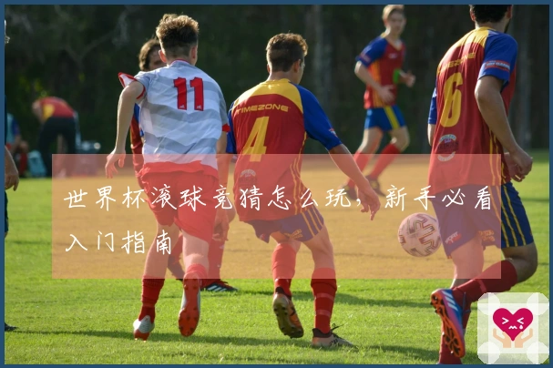 世界杯滚球竞猜怎么玩，新手必看入门指南